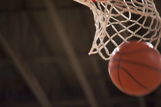 Basketball and Net